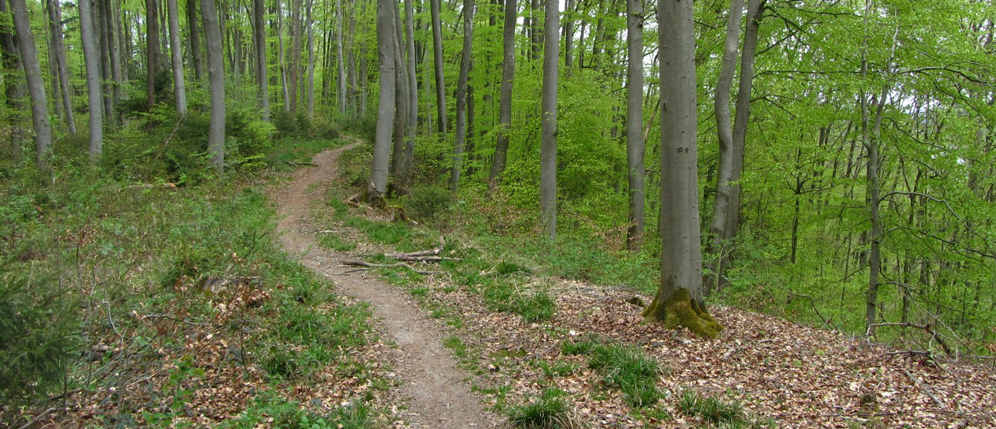 ifuplan_naturerholung_isartal_gr