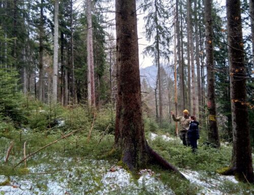 Forest EcoValue Geländebegehung im Reallabor mit Leonhard Bendel